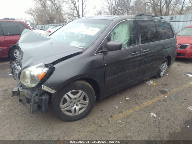 2007 HONDA ODYSSEY EX-L VIN: 5FNRL38647B445622