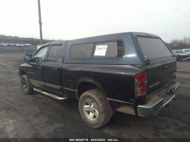 2002 DODGE RAM 1500 VIN: 3D7HU18Z22G123724