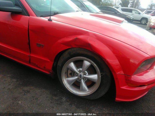 2007 FORD MUSTANG GT DELUXE/GT PREMIUM VIN: 1ZVHT82H675208387