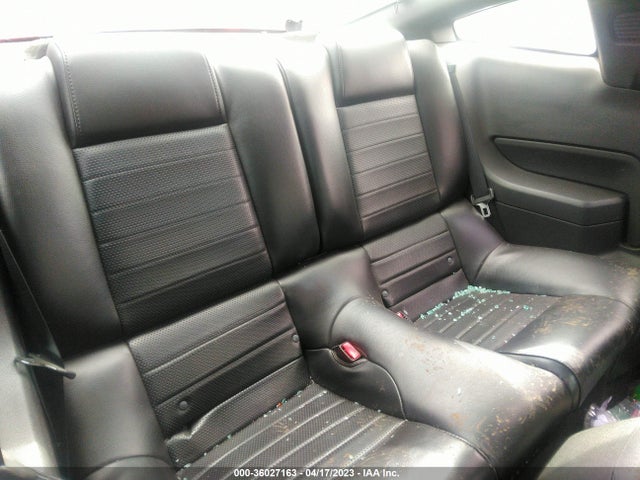 2007 FORD MUSTANG GT DELUXE/GT PREMIUM VIN: 1ZVHT82H675208387