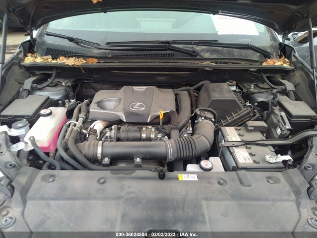 JTJGARDZ1L2229902 Lexus Nx Nx 300