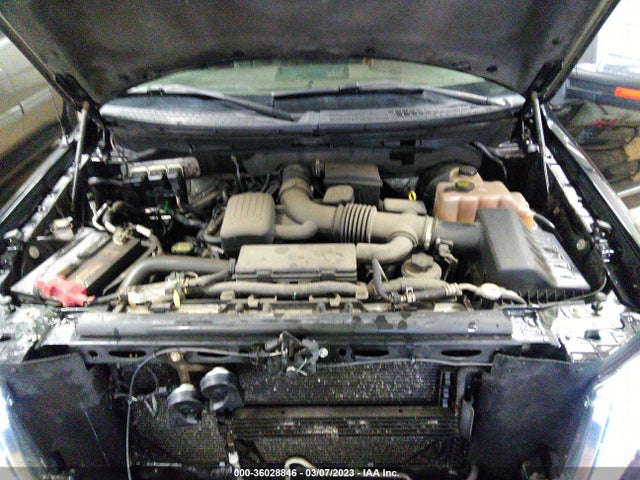 2009 FORD F-150 XL/XLT/FX4/LARIAT VIN: 1FTPW14V59FB46185