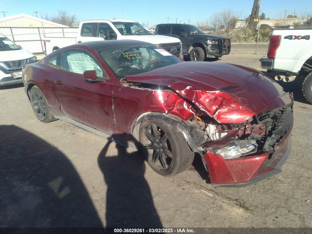 2019 FORD MUSTANG ECOBOOST VIN: 1FA6P8TH3K5173710