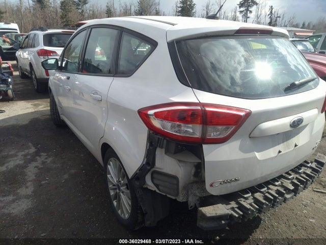 2017 Ford C-Max, VIN: 1FADP5AU7HL110295