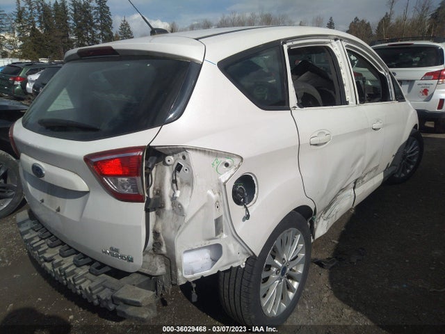 2017 Ford C-Max, VIN: 1FADP5AU7HL110295