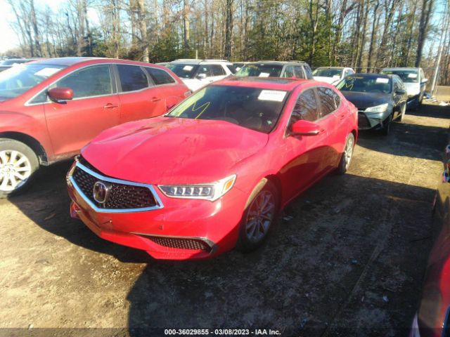 19UUB1F3XKA010407 Acura TLX