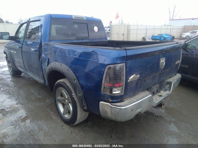 2010 DODGE RAM 1500 SLT VIN: 1D7RV1CT6AS202678