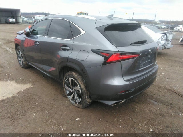 2018 Lexus NX, VIN: JTJYARBZXJ2103784