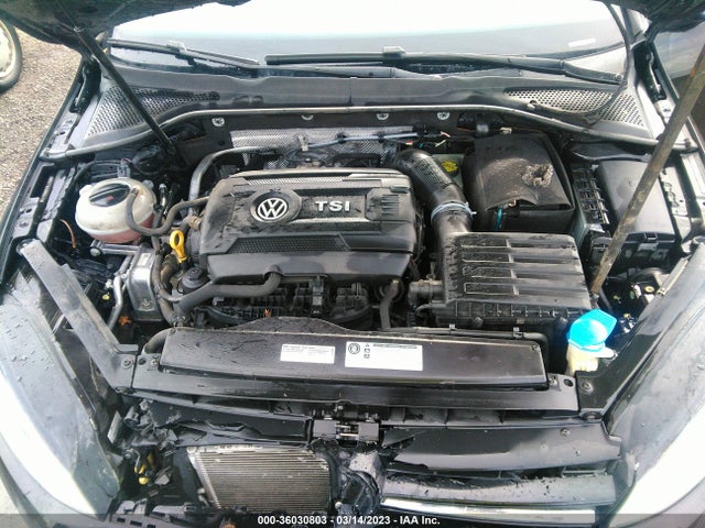 3VW217AU2GM024126 Volkswagen Golf Tsi S