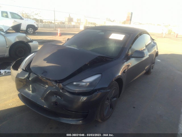 Tesla MODEL 3 2023 5YJ3E1EB0PF389460 Image 2