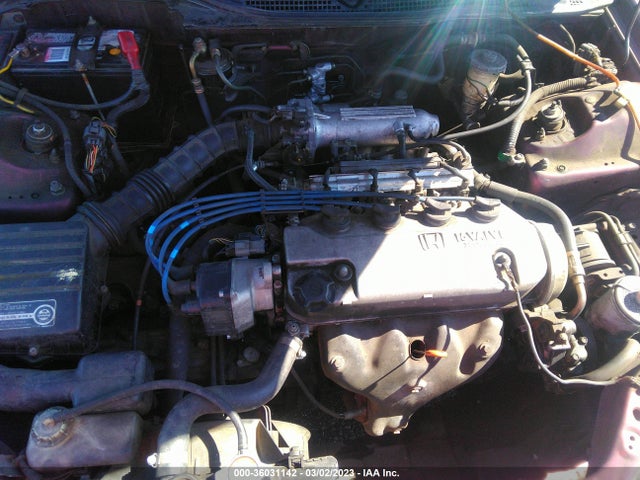 1994 HONDA CIVIC DX/LX/SE VIN: 1HGEG8646RL018848