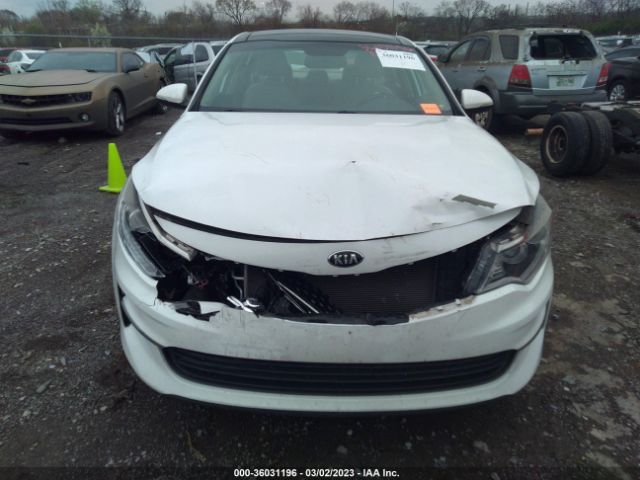 5XXGU4L31GG065772 KIA OPTIMA EX