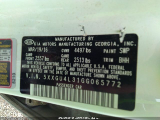 5XXGU4L31GG065772 KIA OPTIMA EX