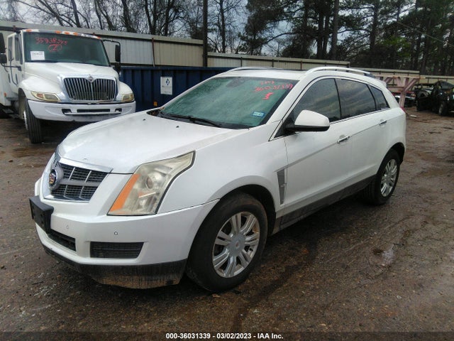 3GYFNAEY0BS551910 Cadillac Srx Luxury Collection