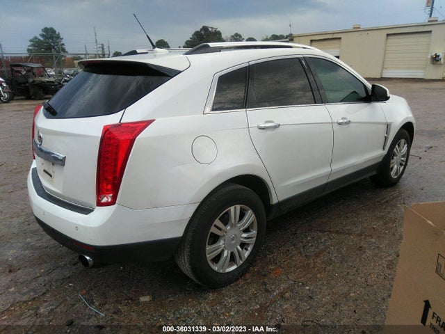 3GYFNAEY0BS551910 Cadillac Srx Luxury Collection