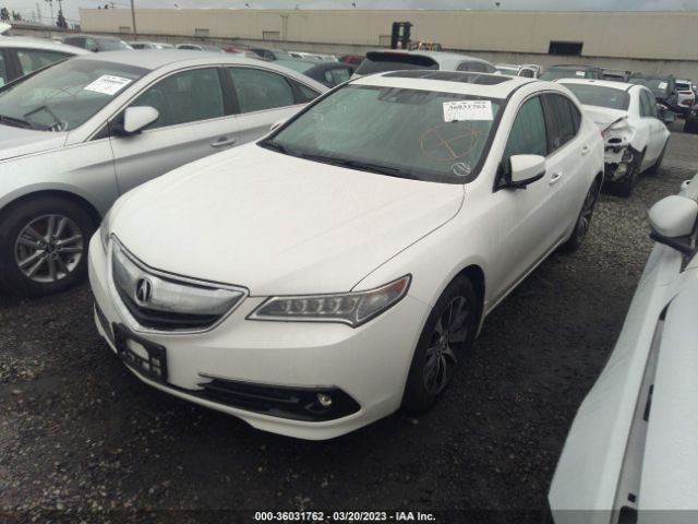 19UUB1F52FA023465 Acura TLX TECH