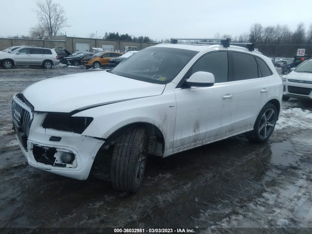 WA1D7AFP8GA141033 Audi Q5 Premium Plus