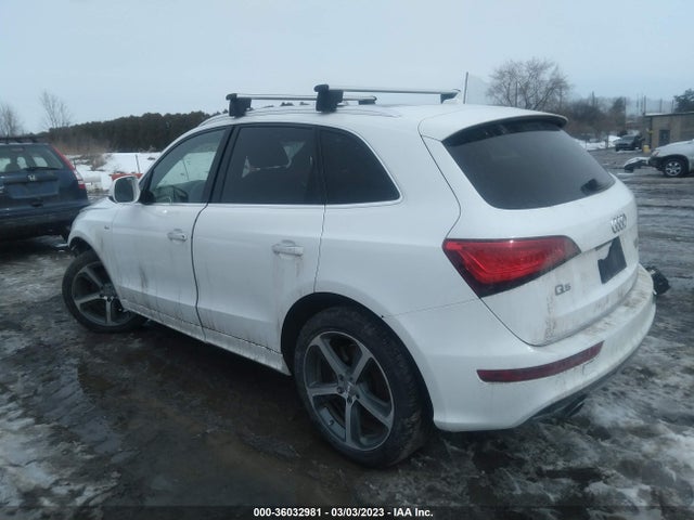 WA1D7AFP8GA141033 Audi Q5 Premium Plus