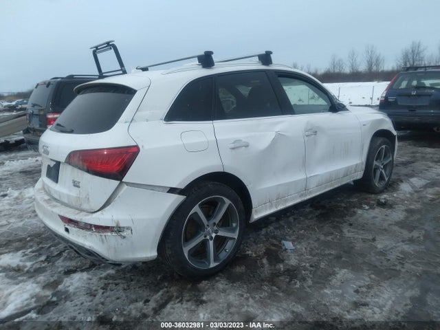 WA1D7AFP8GA141033 Audi Q5 Premium Plus