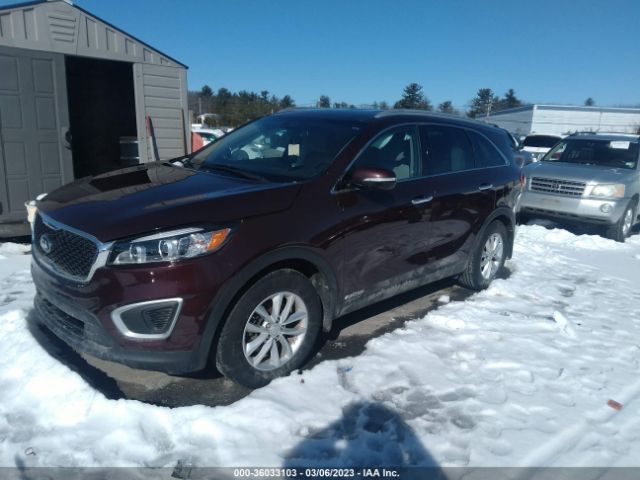 5XYPGDA57HG336729 KIA Sorento 3.3l Lx