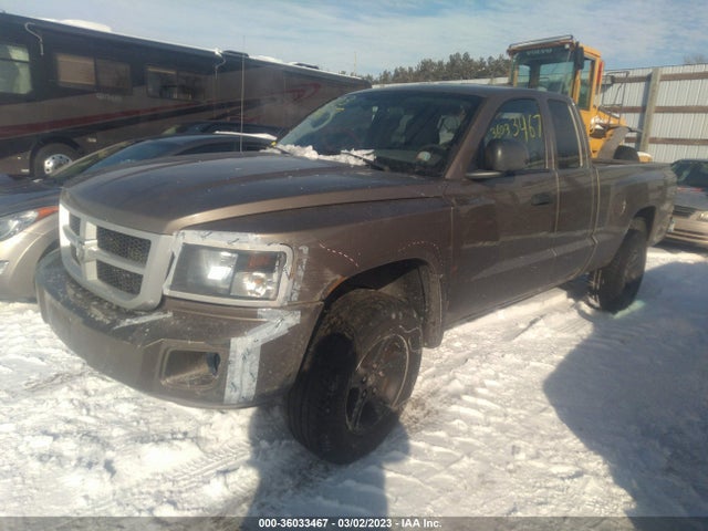 Dodge Dakota Bighorn/lonestar 2010 1D7RW3BK7AS161995 Image 2