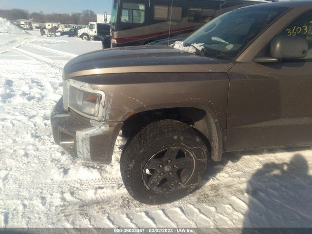 Dodge Dakota Bighorn/lonestar 2010 1D7RW3BK7AS161995 Image 7