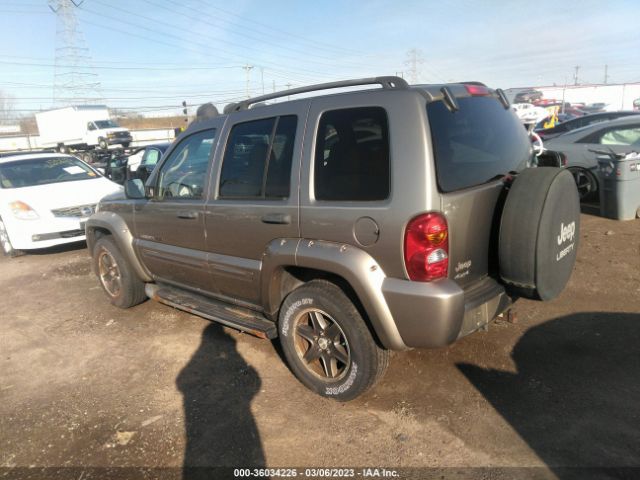 1J4GL38K82W366778 Jeep Liberty Renegade