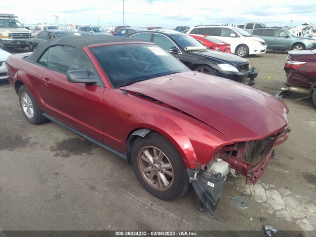 36034232 :رقم المزاد ، 1ZVFT84N265261323 vin ، 2006 Ford Mustang Standard/deluxe/premium مزاد بيع