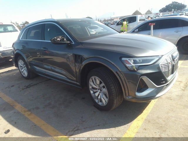 2022 Audi e-tron, VIN: WA1VCBGE1NB038644