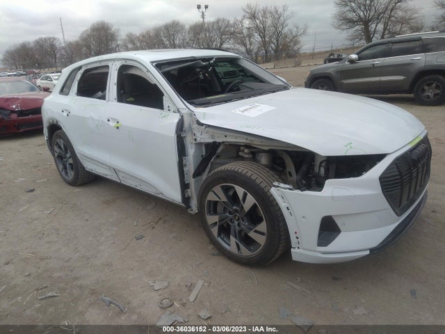 2022 Audi e-tron, VIN: WA1AAAGE3NB043326
