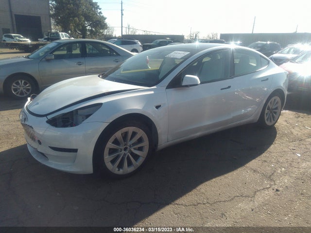 Tesla MODEL 3 2023 5YJ3E1EA1PF383304 Image 2