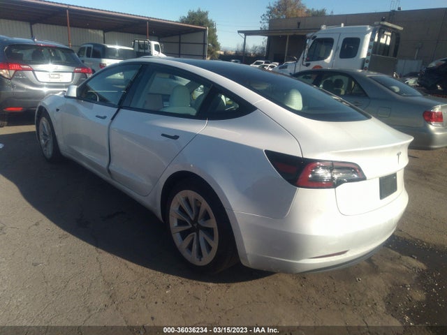 Tesla MODEL 3 2023 5YJ3E1EA1PF383304 Image 3