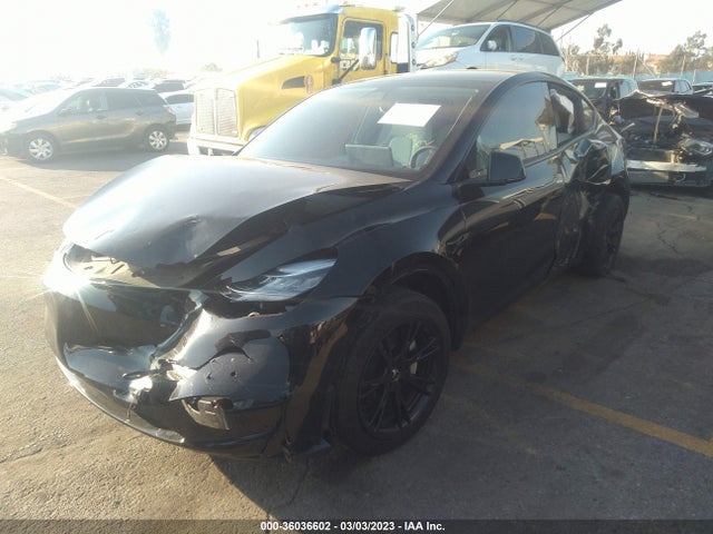 5YJYGDEE2MF216224 Tesla Model Y Long Range