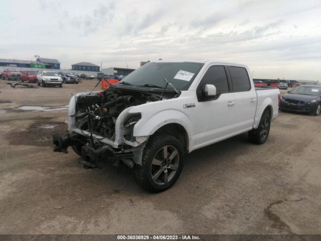 1FTEW1EF5GKF09538 Ford F-150 Xlt/xl/lariat/platinum