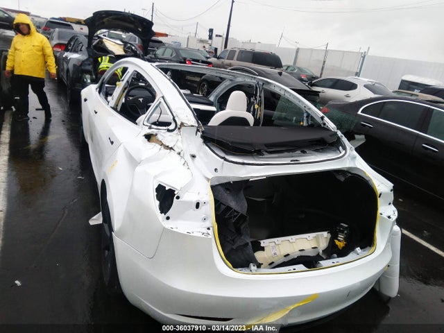 Tesla MODEL 3 2023 5YJ3E1EA1PF467008 Image 7