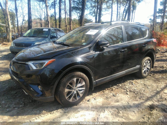 2016 Toyota RAV4, VIN: JTMRJREV2GD039933