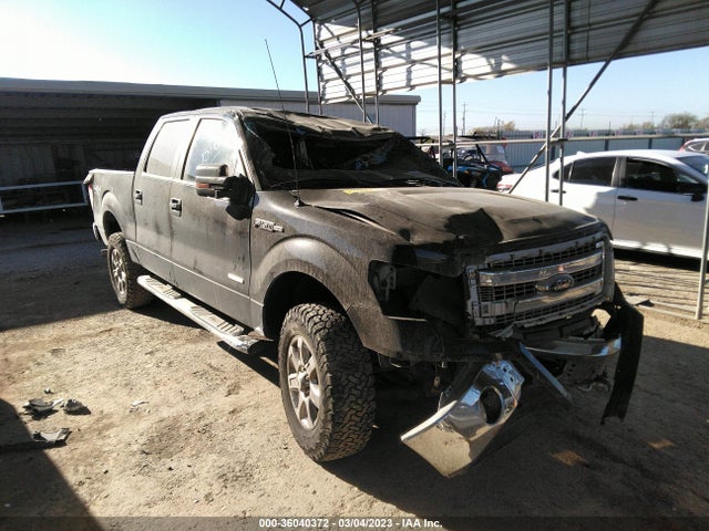 2014 1FTFW1ET5EKE69176 главное изображение