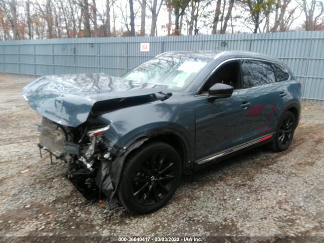 2021 MAZDA CX-9 CARBON EDITION VIN: JM3TCBDY2M0529415