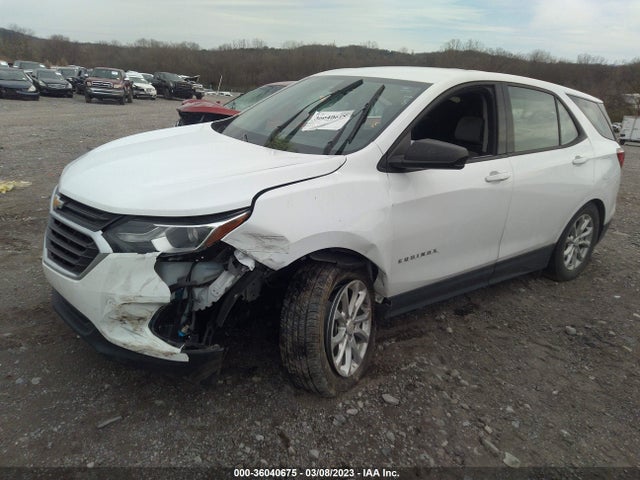 Chevrolet EQUINOX LS 2019 2GNAXHEV1K6138053 Image 2