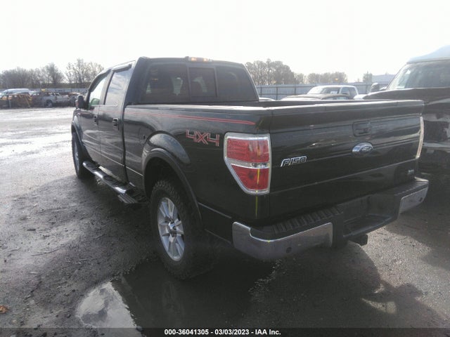 2010 FORD F-150 XL/XLT/FX4/LARIAT VIN: 1FTFW1EV9AFA75958