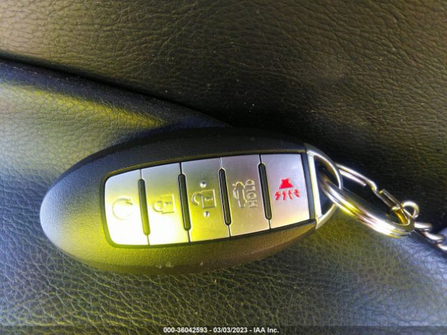 1N4AA6AP3HC407293 Nissan Maxima Platinum
