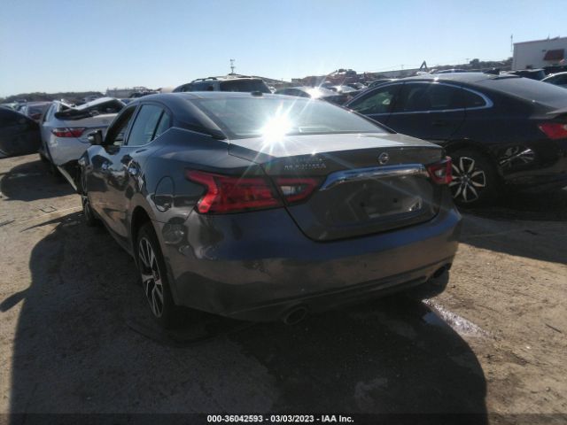 1N4AA6AP3HC407293 Nissan Maxima Platinum