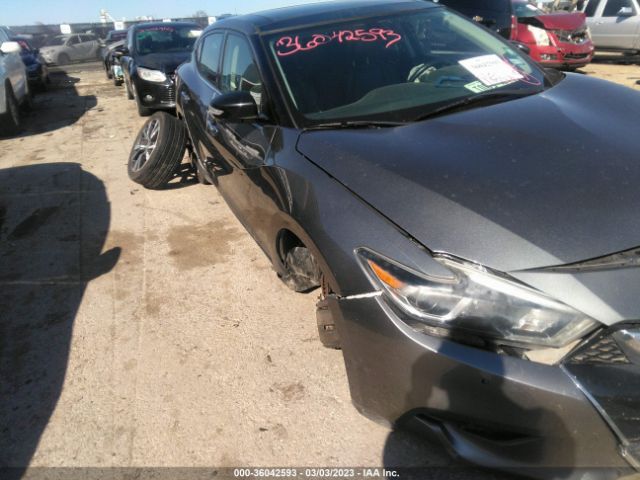 1N4AA6AP3HC407293 Nissan Maxima Platinum