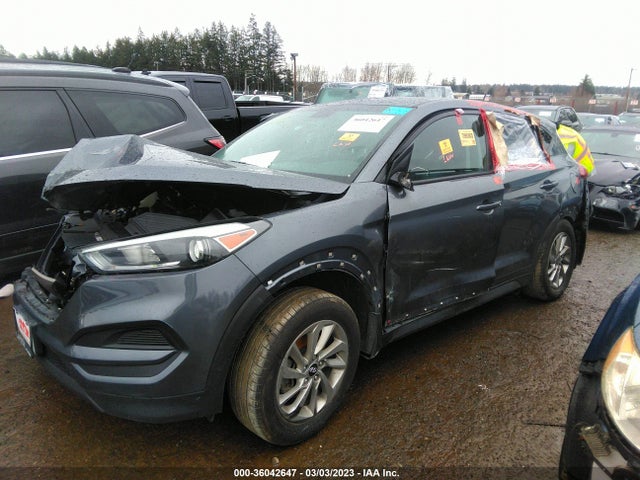 Hyundai TUCSON SE 2016 KM8J23A42GU228193 Image 2