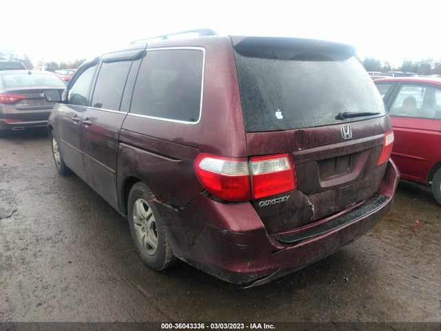 Honda Odyssey Ex-l 2007 5FNRL387X7B460005 Image 4