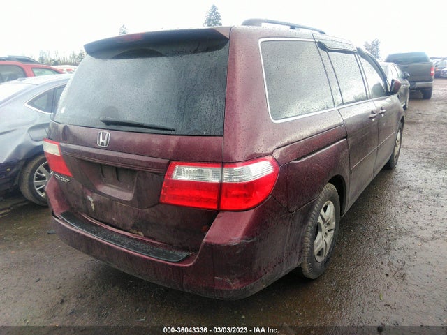 Honda Odyssey Ex-l 2007 5FNRL387X7B460005 Image 5