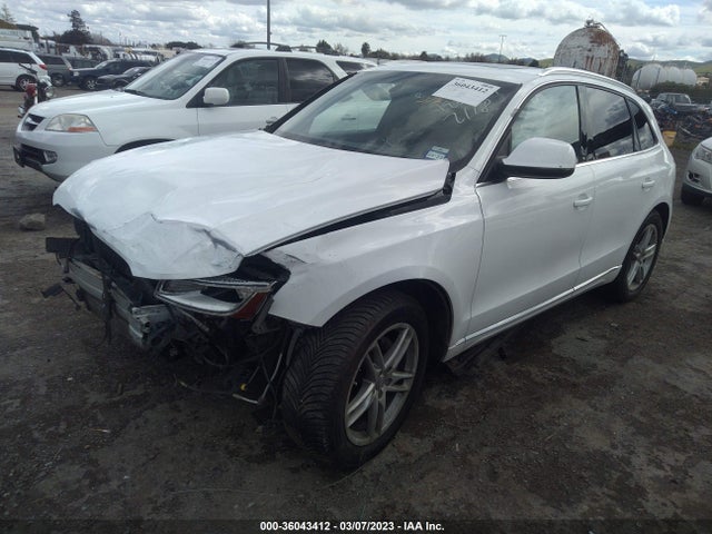 WA1LFAFP6EA100623 Audi Q5 Premium Plus