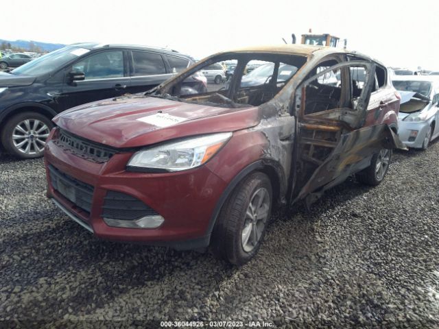 1FMCU0GX2EUB43970 Ford ESCAPE SE