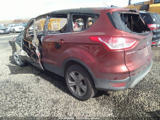 1FMCU0GX2EUB43970 Ford ESCAPE SE