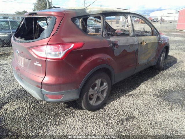 1FMCU0GX2EUB43970 Ford ESCAPE SE
